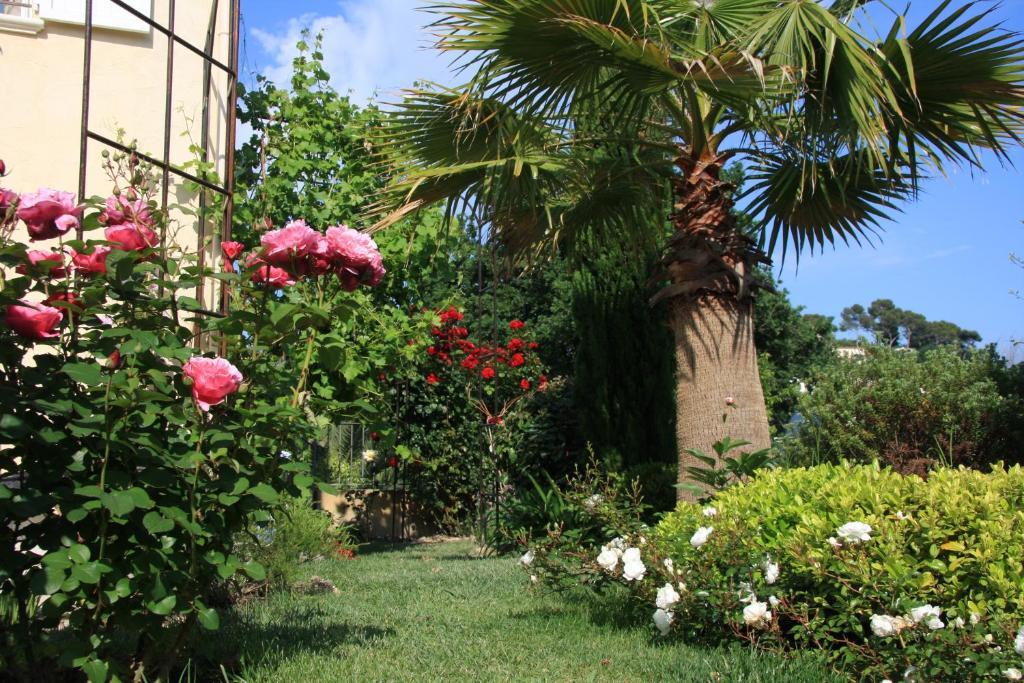 Le Mas Des Amandiers Apartment Saint-Paul-de-Vence Exterior photo